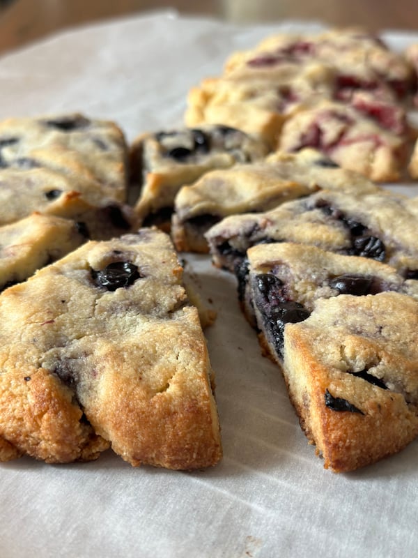 Blueberry Lemon, 8 scones